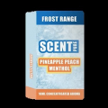 Pineapple Peach Menthol Scent Pure 10ml